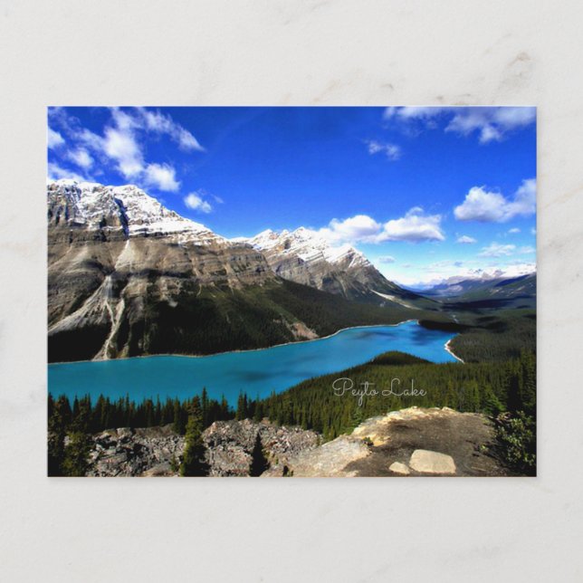 Peyto Lake, Kanadische Rockies Postkarte (Vorderseite)