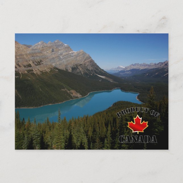 Peyto Lake Product of Canada Postkarte (Vorderseite)