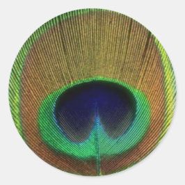 Pfacock Feather Sticker