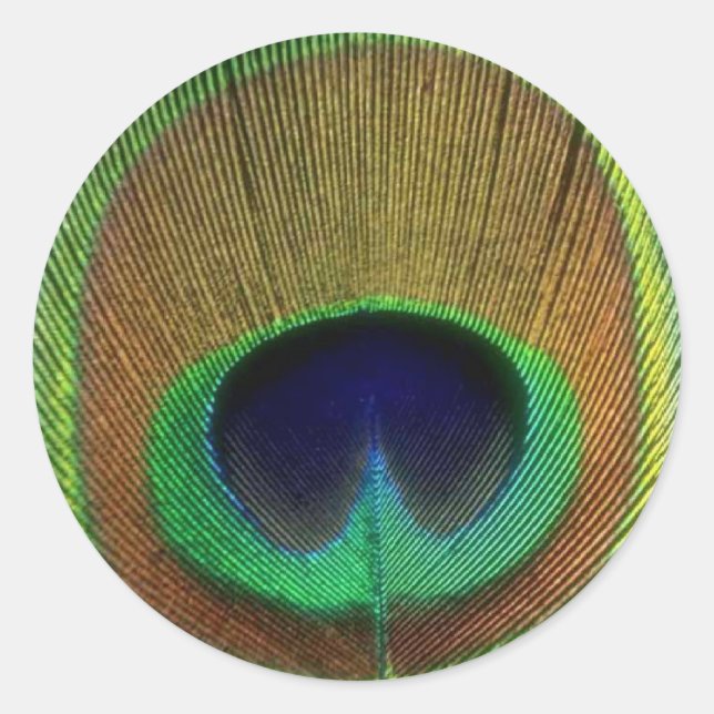 Pfacock Feather Sticker (Vorderseite)