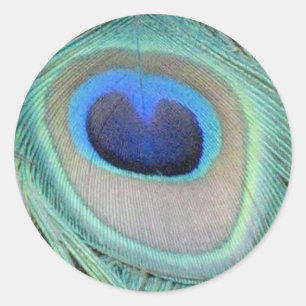 Pfacock Feather Sticker