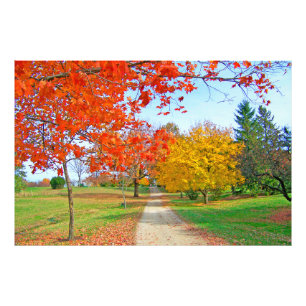 Pfad Bäume Herbst farbige Blätter Fotodruck