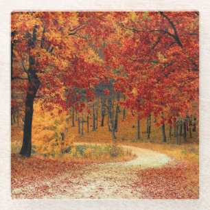 Pfad durch die Bäume im Herbst Glasuntersetzer
