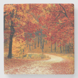 Pfad durch die Bäume im Herbst Steinuntersetzer