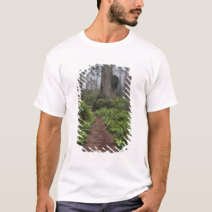 Pfad durch die riesigen Redwood-Bäume gehüllt 2 T-Shirt