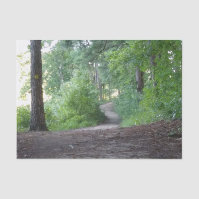 Pfad durch einen Wald Seidenpapier (Vorderseite)