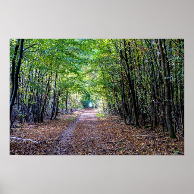 Pfad im Herbstwald, Heiliger Germain-Wald Poster (Vorne)