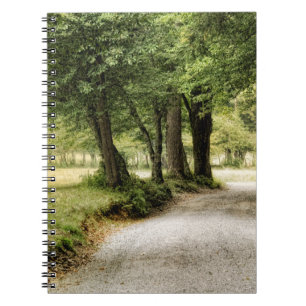 Pfad im Land Notizblock