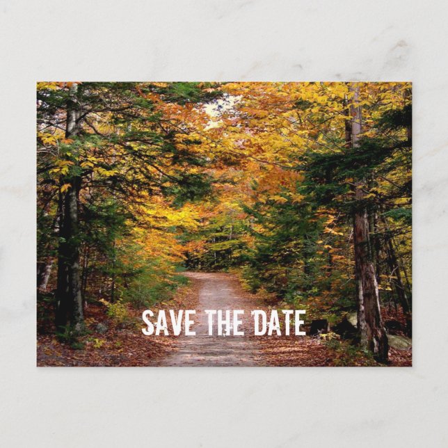 Pfad im Wald fällt Save the Date Ankündigungspostkarte (Vorderseite)