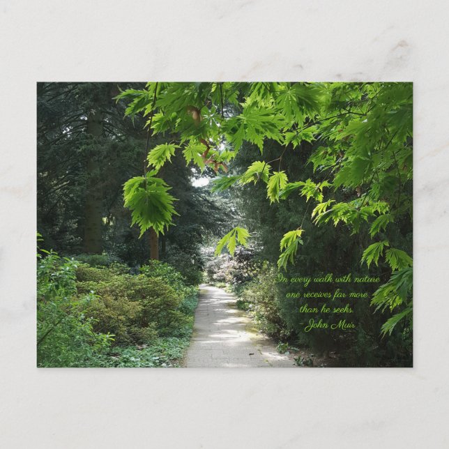 Pfad in der Natur Grüne Bäume Zitat Fotografie Postkarte (Vorderseite)
