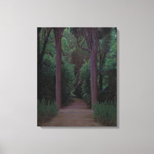 Pfad in einem Park (von Santiago Rusiñol) Leinwanddruck