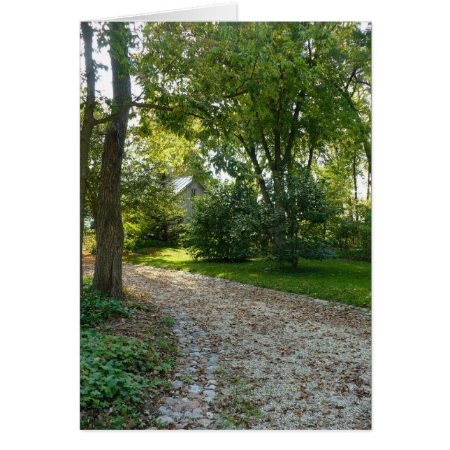 Pfad ohne Reisen (Vorne)