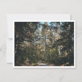 Pfad Postkarte