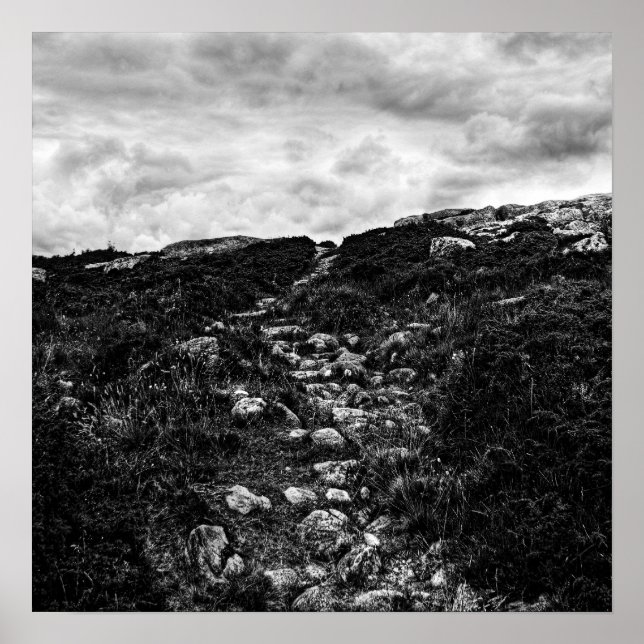 Pfad steinen poster (Vorne)