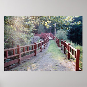 Pfad unbekannt poster