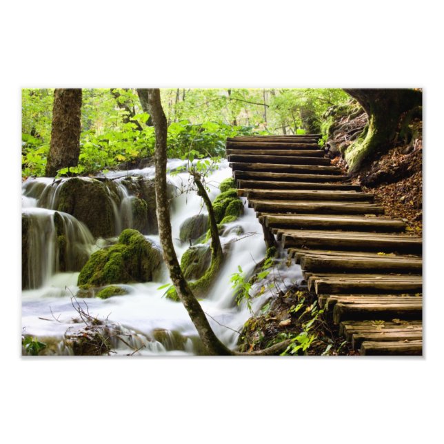 Pfad und Stream im Wald Fotodruck (Vorne)