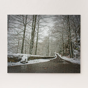 Pfad zum Dreamland - deutscher Wald - 16x20 - 520