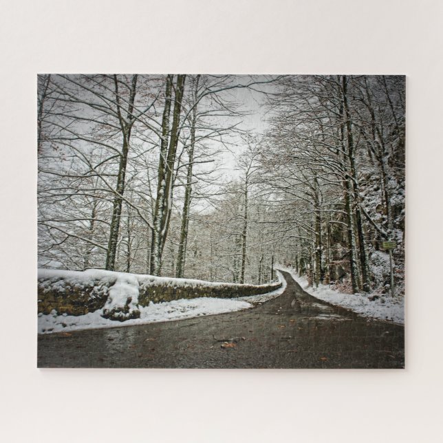 Pfad zum Dreamland - deutscher Wald - 16x20 - 520  (Horizontal)