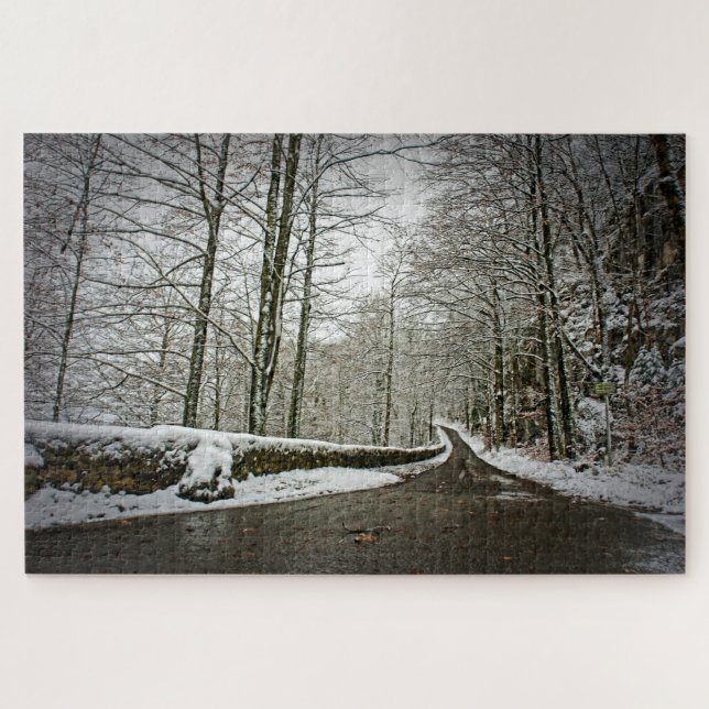Pfad zum Dreamland - deutscher Wald - 20x30-1014 S (Horizontal)