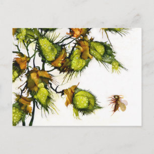 "Pfadfinder" Postkarte durch JAC