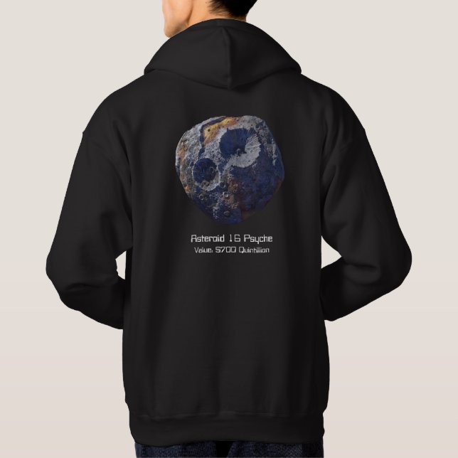 Pfadfindermission bei Asteroiden 16 Psyche Hoodie (Rückseite)