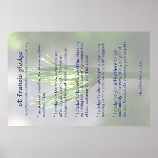 Pfandbrief für den Francis ( überarbeitet ) POSTER