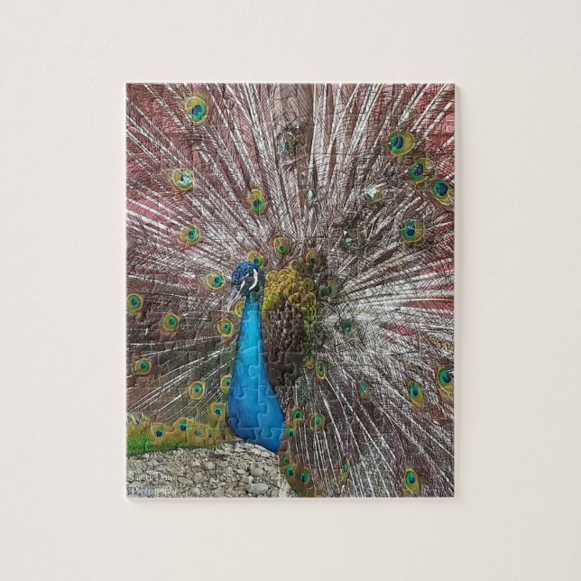 Pfau  (Vertikal)