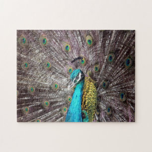 Pfau