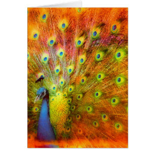 Pfau