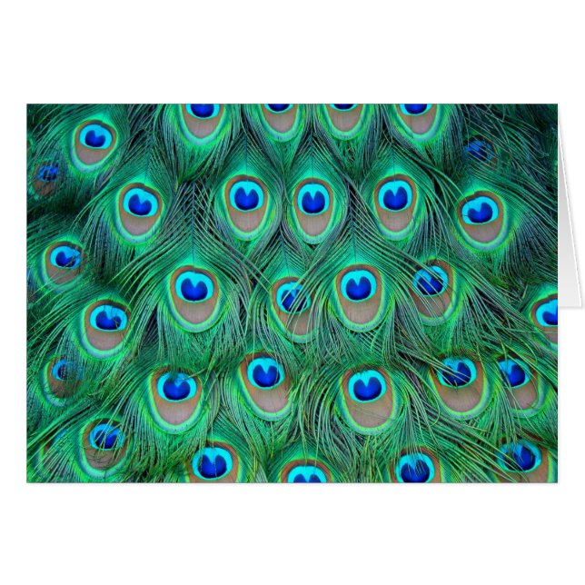 Pfau (Vorderseite (Horizontal))