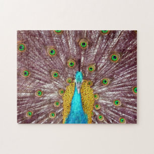 Pfau