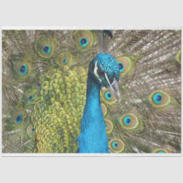Pfau 1 Wandteppichpapier Seidenpapier