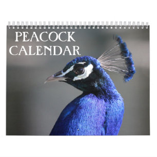 Pfau 2025 kalender