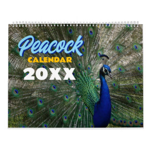 Pfau 2027 Wandbild Kalender