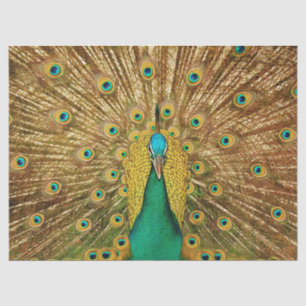 Pfau 2 Wandteppichpapier Seidenpapier