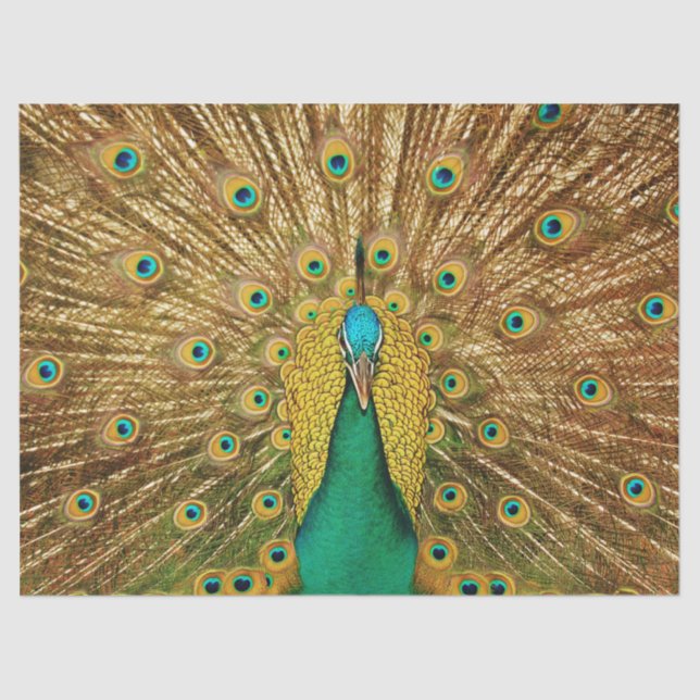 Pfau 2 Wandteppichpapier Seidenpapier (Vorderseite)