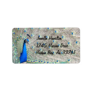 Pfau-Adressen-Etiketten Adressaufkleber