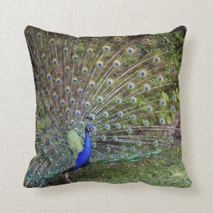 Pfau-Akzent-Kissen Kissen