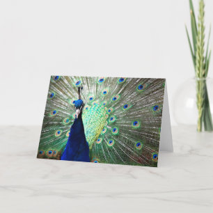 Pfau-Anmerkungs-Karte Karte