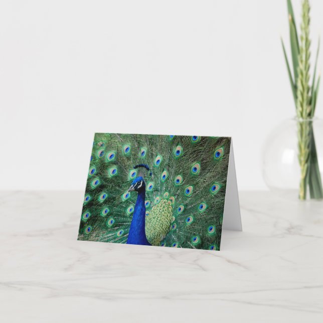 Pfau, Anmerkungskarte Karte (Vorderseite)