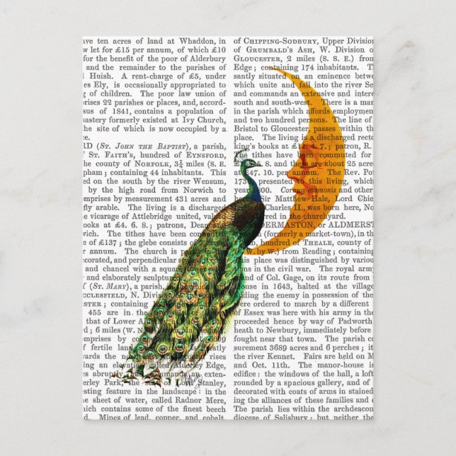 Pfau auf dem Mond Postkarte (Vorderseite)