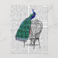Pfau auf dem Vorsitz