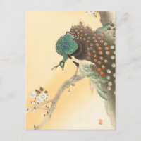 Pfau auf einem Kirschbaum von Ohara Koson