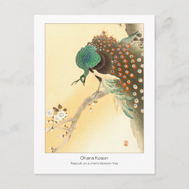 Pfau auf Kirschblüte - Ohara Koson + Postkarte (Vorderseite)