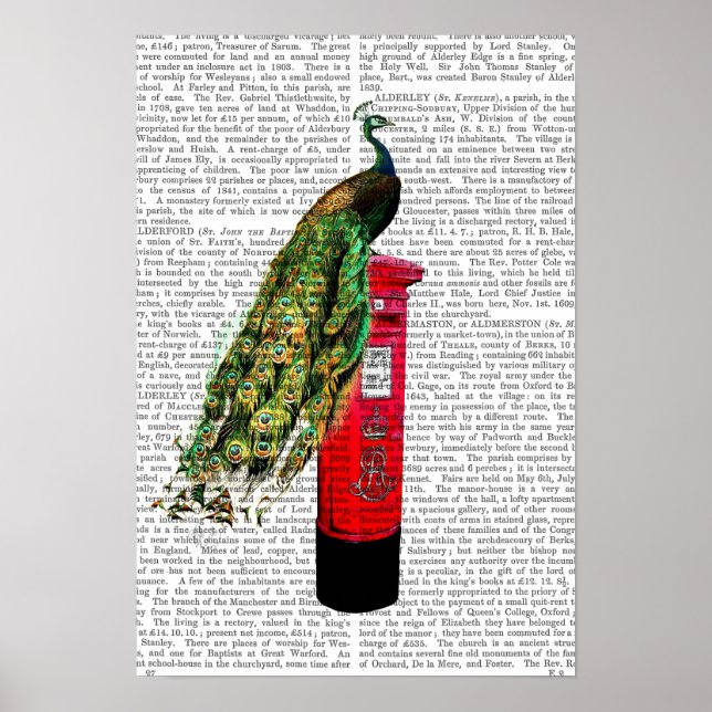 Pfau auf Postbox Poster (Vorne)