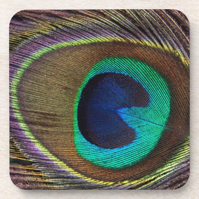 Pfau-Augen-Feder Getränkeuntersetzer (Vorderseite)