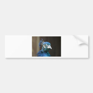 Pfau Autoaufkleber