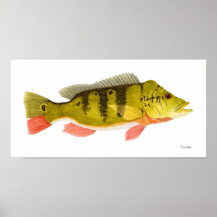 Pfau-Bass-Kunst-Plakat Poster