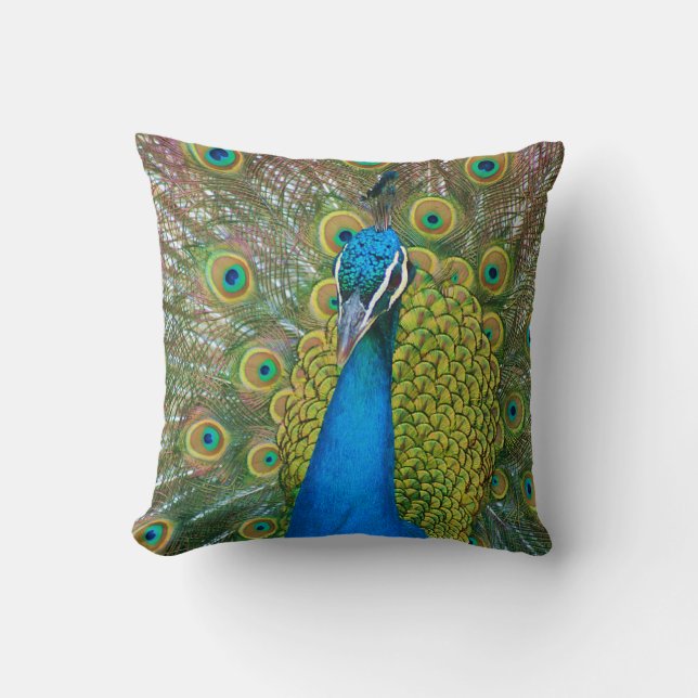 Pfau-Blau-Kopf mit und bunte Schwanz-Federn Kissen (Vorderseite)