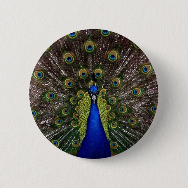 Pfau Button (Vorderseite)